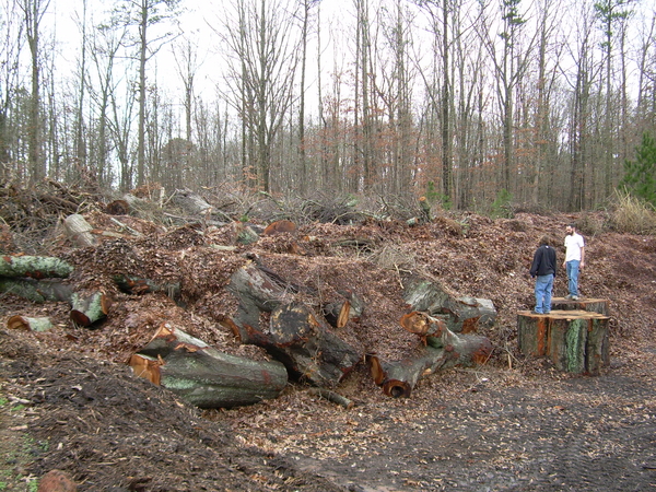 Decomposing wood waste